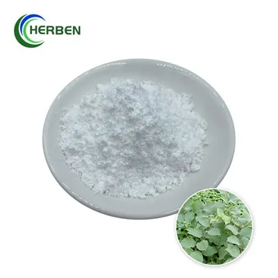 Resveratrol-Extrakt-Pulver